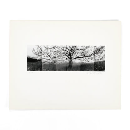 VISUAL STUDIES WORKSHOP