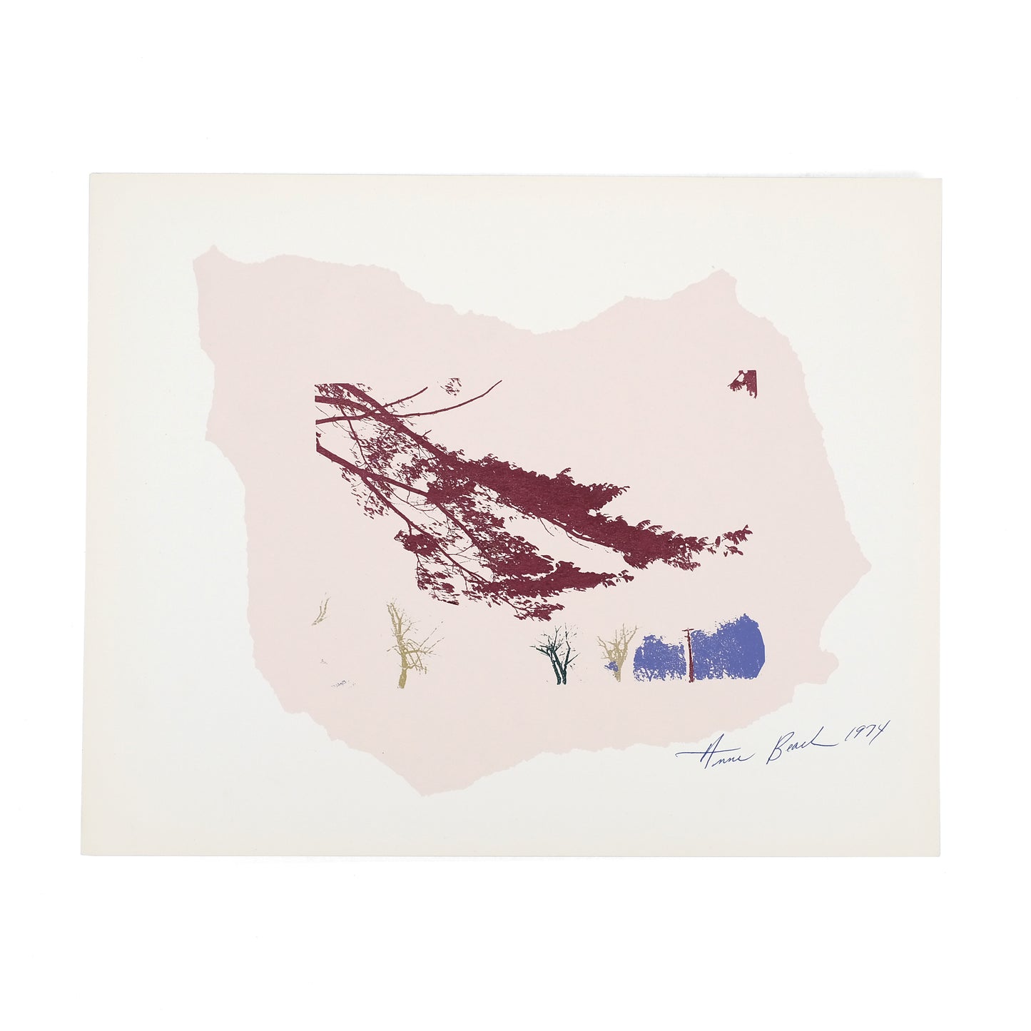 VISUAL STUDIES WORKSHOP