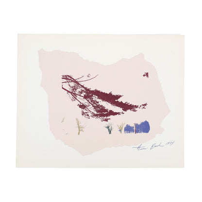 VISUAL STUDIES WORKSHOP